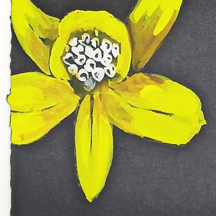 Il disegno di un fiore giallo realizzato da Mario Meda come studio di forme e stili per i suoi gioielli artigianali